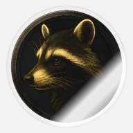 Racoon