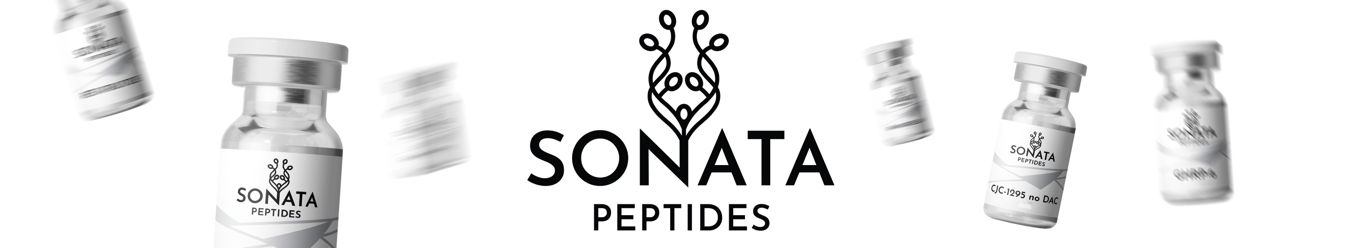 sonata.jpg