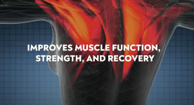 Screenshot 2025-10-07 191541.png