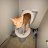 Cougar_lover